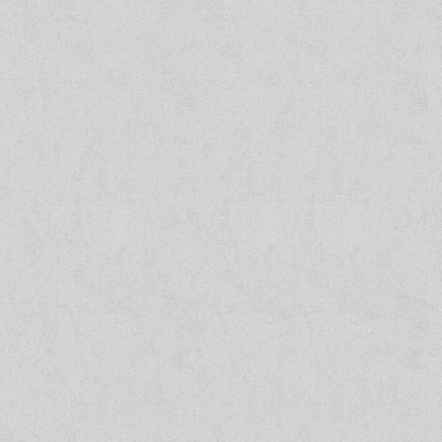 Обои флиз "AS Палитра" Аспект Бруно фон (сер.) 70621-42 1,06*10м *1/6 Обои флиз "AS Палитра" Аспект Бруно фон (сер.) 70621-42 1,06*10м *1/6