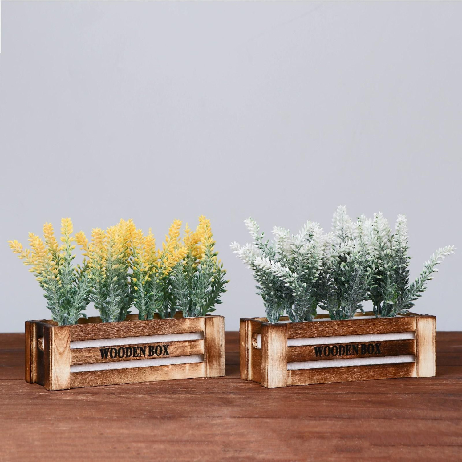 Бонсай "Лаванда в ящичке" 8х16,5х15 см микс   4736462