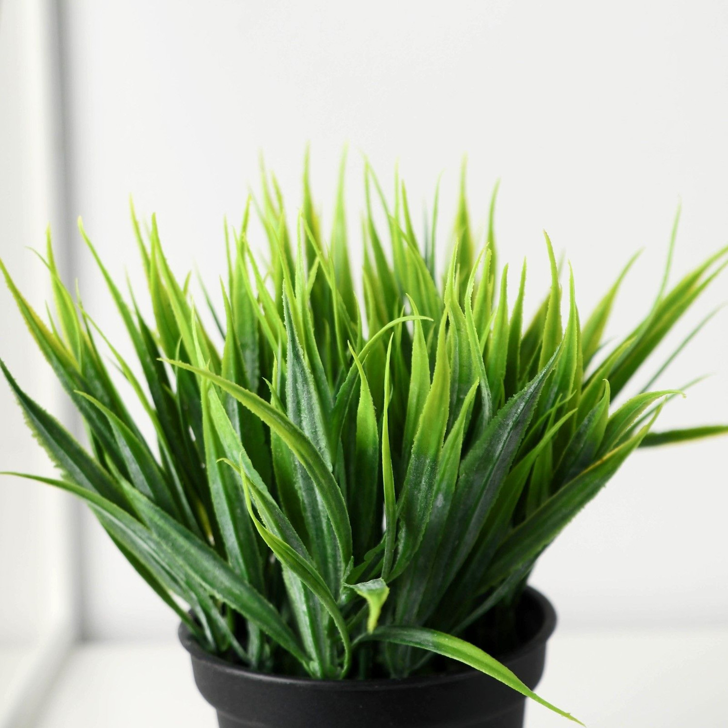 Бонсай в горшке "Зелень люкс" 7х11 см   9750534 Бонсай в горшке "Зелень люкс" 7х11 см   9750534