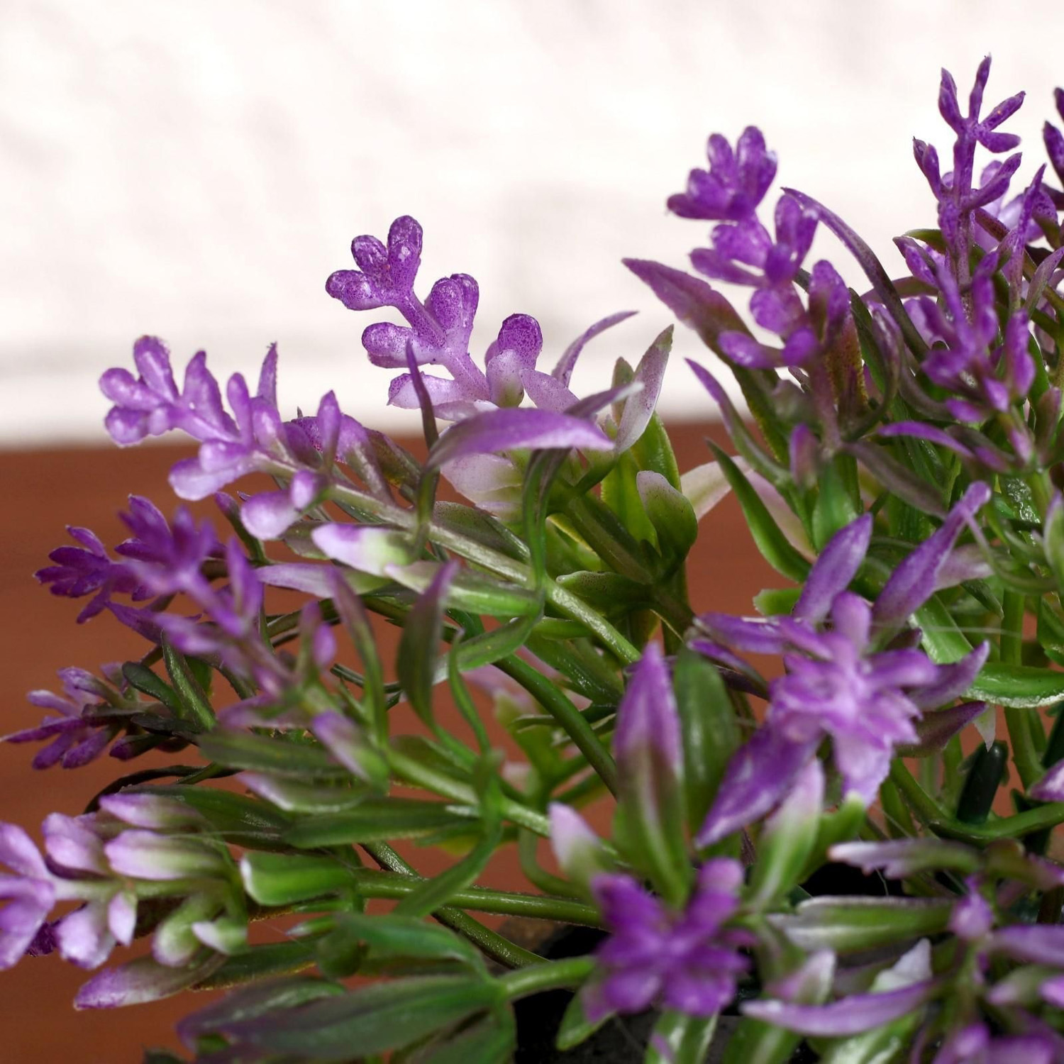 Бонсай "Седум" 6*10 см, микс   4293933