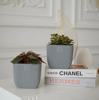 Кашпо пластм. "Фабио" 1,95л 140х140мм h140мм со вставкой Серый AMF-1,95-03  ("VipSet") *1/8 Кашпо пластм. "Фабио" 1,95л 140х140мм h140мм со вставкой Серый AMF-1,95-03  ("VipSet") *1/8