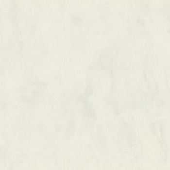 Обои флиз ED Euro Decor Ray фон (бел.) 7297-00 *6