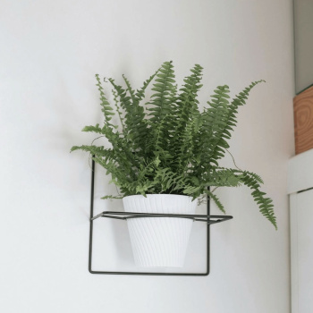 Подставка для цветов настен. металл. "Ларго" "Квадрат" внут. d кольца 125мм ПЛ5 ("VipSet") *2 Подставка для цветов настен. металл. "Ларго" "Квадрат" внут. d кольца 125мм ПЛ5 ("VipSet") *2