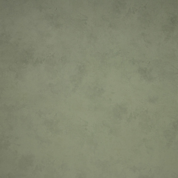 Обои флиз. Артекс FREEDOM Панорама-уни (зел.) 11273-06 10х1.06м *1/6