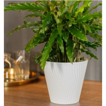 Кашпо пластм. "Луи" 2,7л d верха 180мм h166мм со вставкой Белый AML-2,7-01 ("VipSet") *1/12 Кашпо пластм. "Луи" 2,7л d верха 180мм h166мм со вставкой Белый AML-2,7-01 ("VipSet") *1/12