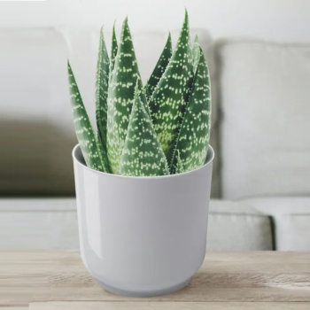 Кашпо пластм. "Дельта" 3,2л d верха 170мм h170мм со вставкой Белый Д17-10 *1/8