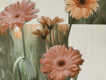 Обои винил Elysium 0,53*10м  96723 *1/9