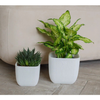 Кашпо пластм. "Фабио" 4,7л 190х190мм h190мм со вставкой Белый AMF-4,7-01  ("VipSet") *1/8 Кашпо пластм. "Фабио" 4,7л 190х190мм h190мм со вставкой Белый AMF-4,7-01  ("VipSet") *1/8