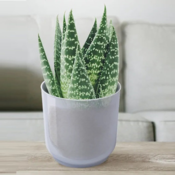 Кашпо пластм. "Дельта" 3,2л d верха 170мм h170мм со вставкой Прозрачный Д17-00 *1/8